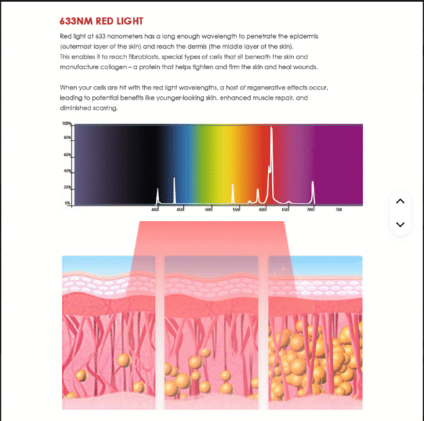 RED LIGHT THERAPY BED FOR PAIN